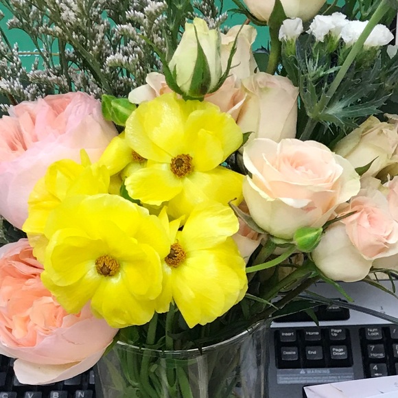 Meet your Posher, Raysa - Picture 1 of 1